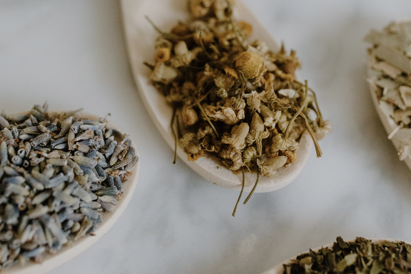 23 Herbs That Are Good For Inflammation — Reduce Autoimmune Pain With